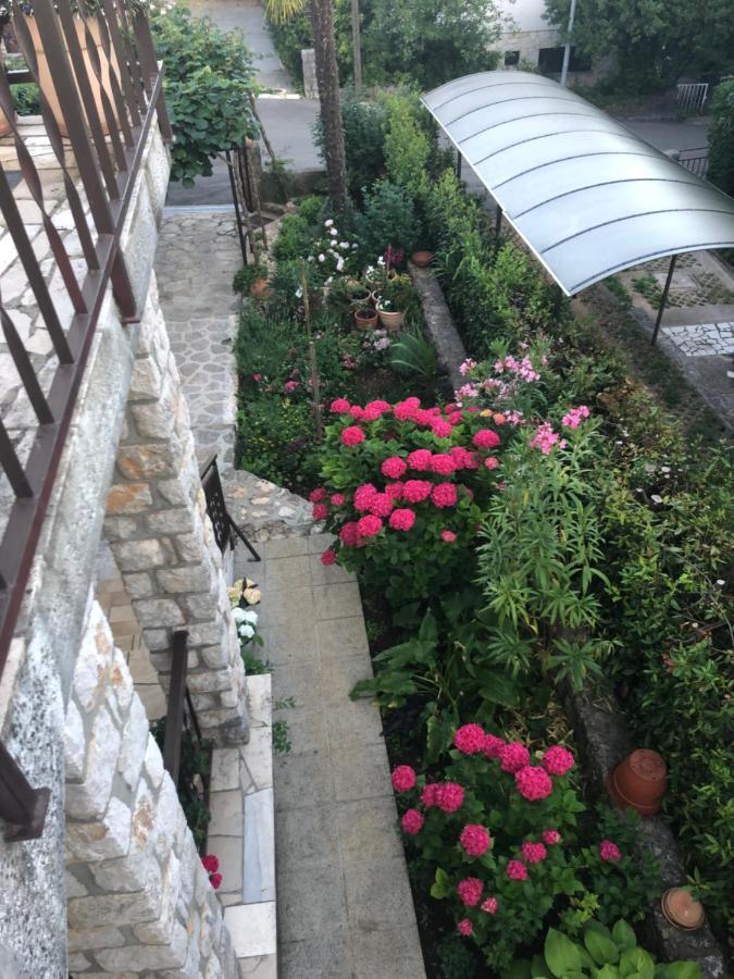 Appartement Casa Hortensia *